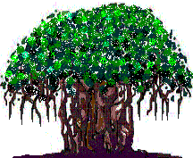 Photo d'arbre